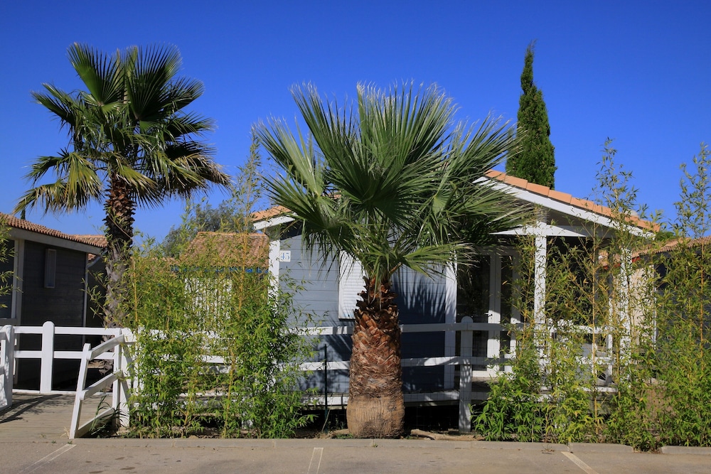 Standard Bungalow, 1 Bedroom, Terrace photo 3