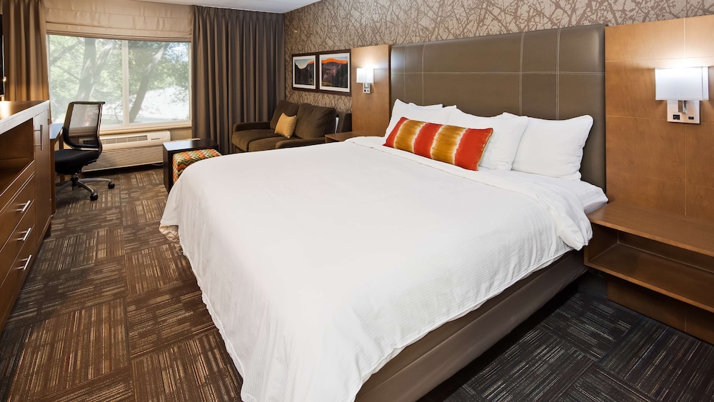Standard Room, 1 King Bed, Accessible, Non Smoking - Photo 1