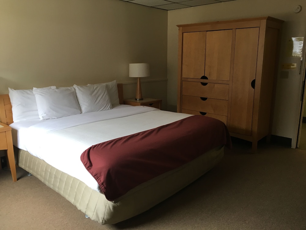 Standard Single Room, 1 King Bed photo 1