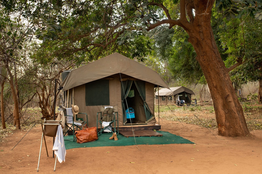 Basic Tent photo 3
