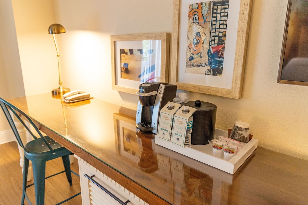 Room, 1 King Bed With Sofa Bed (havana)