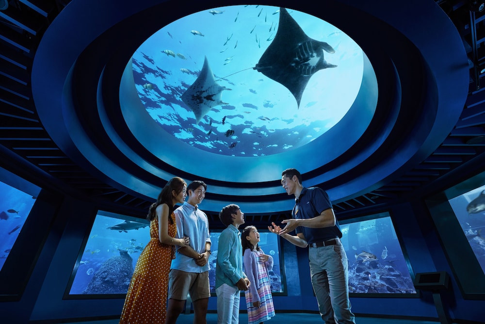 3d2n Double The Fun - Deluxe Room With Comp One Day Tickets For 2 Adults To Uss & S.E.A. Aquarium 3d2n Double The Fun - Deluxe Room With Comp One Day Tickets For 2 Adults To Uss & S.E.A. Aquarium