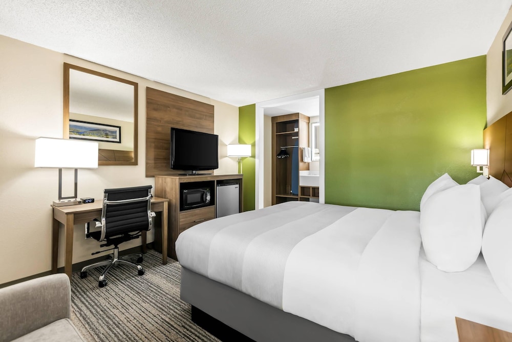 Standard Room, 1 King Bed, Non Smoking - Photo 4