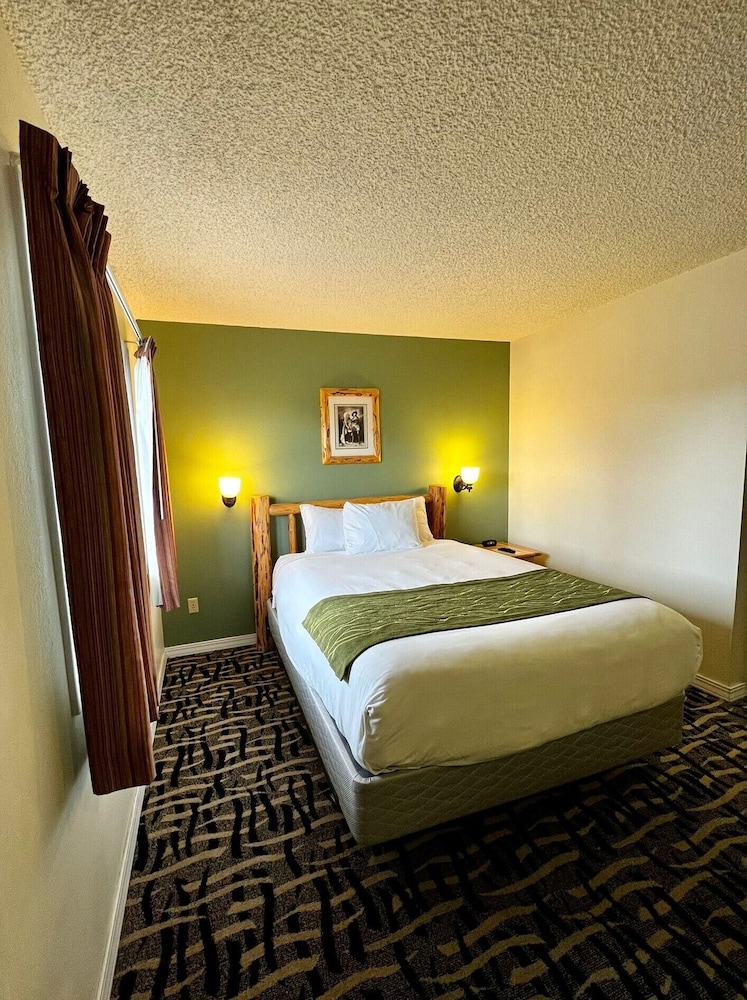 Economy Room - Photo 6