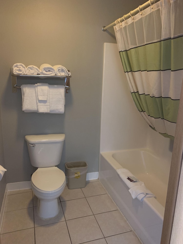 Suite, Multiple Beds, Refrigerator & Microwave photo 3