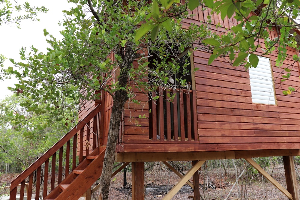 Traditional Cabin, 1 Bedroom, Garden View, Garden Area photo 2