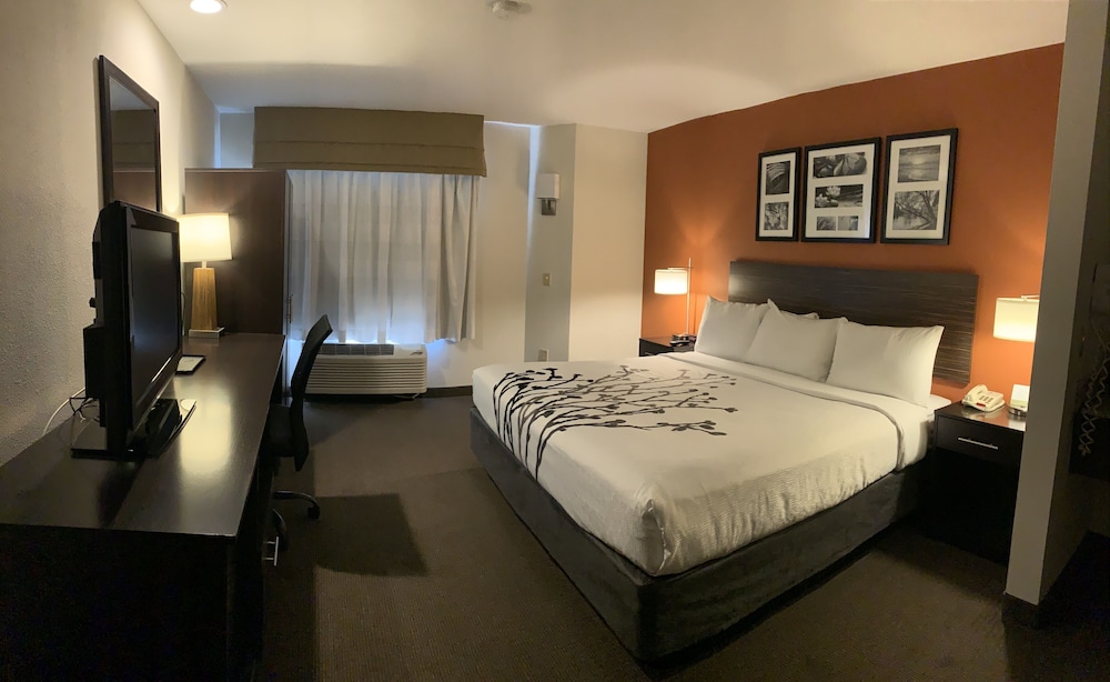 Business Room, 1 King Bed, Non Smoking - Photo 7