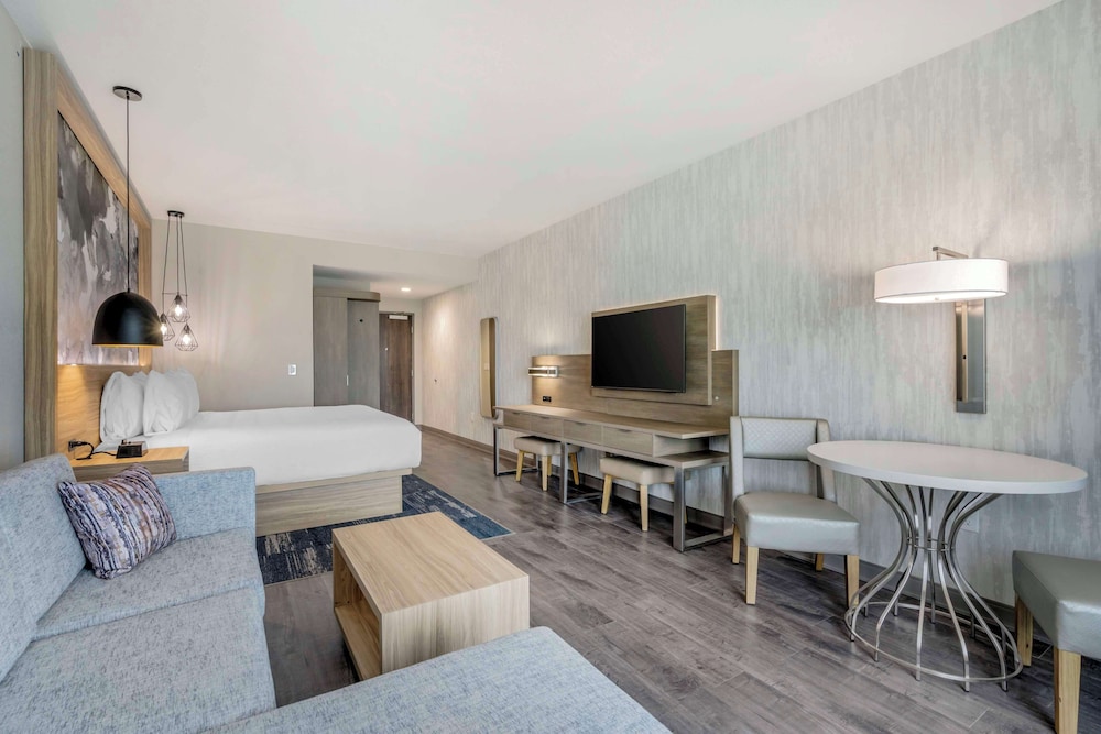 Standard Room, 1 King Bed, Non Smoking (Walk-in Shower;with Sofabed) - Photo 3
