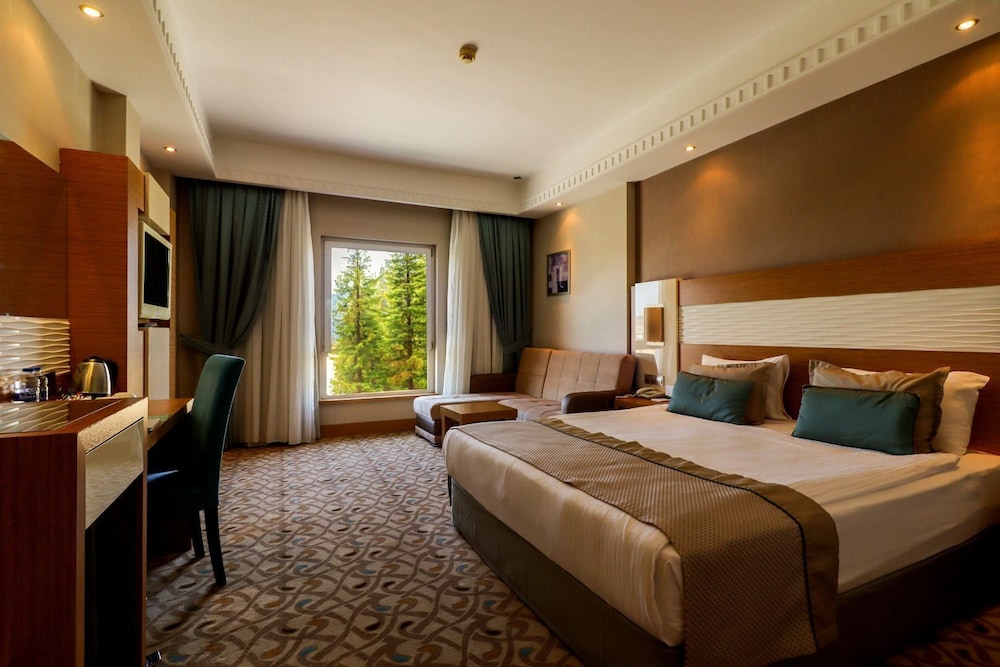 Standard Room, City View