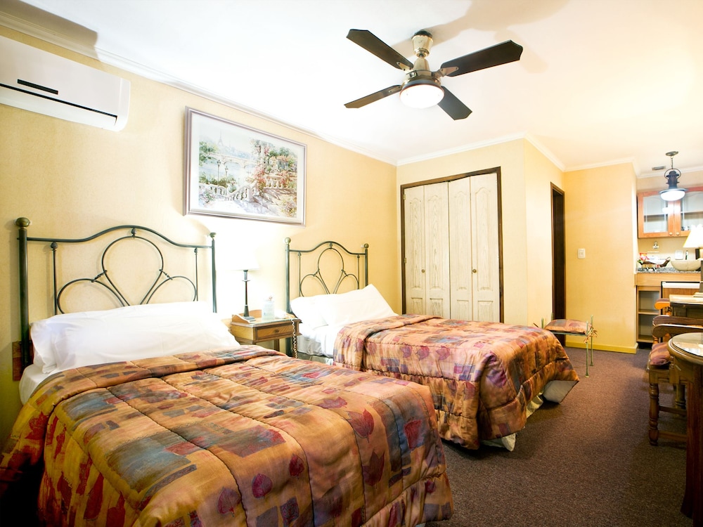Apartment 1 Bedroom Single photo 3