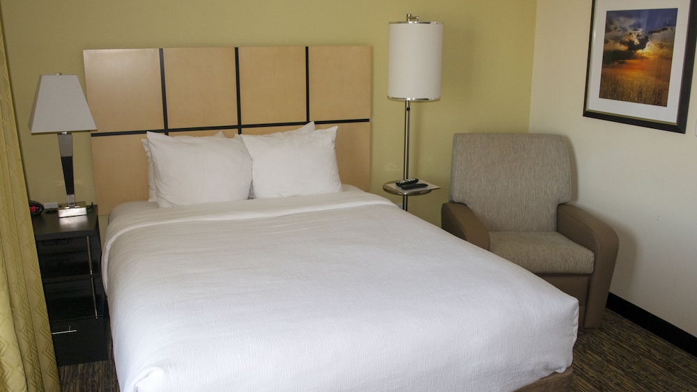 Studio Suite, 1 Queen Bed photo 2