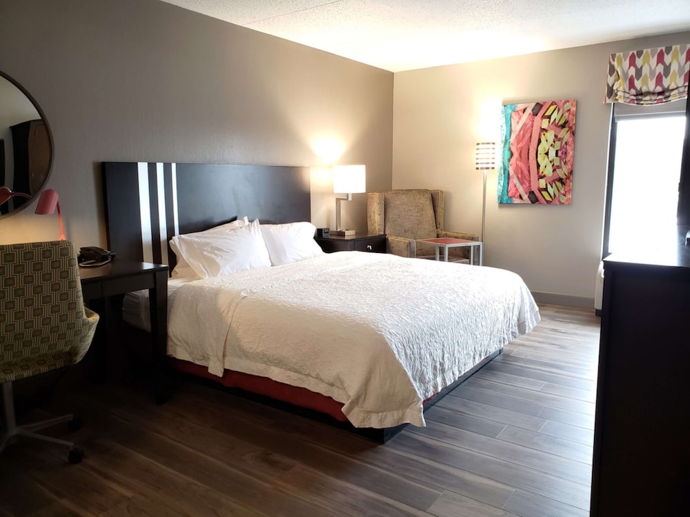 Room, 1 King Bed, Accessible (Roll-In Shower) - Photo 1
