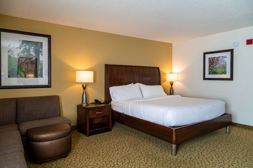 Junior Suite, Accessible