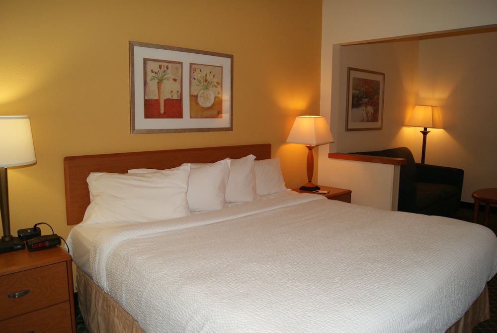 Studio Suite, 1 King Bed, Accessible, Non Smoking (Mobility) - Photo 3