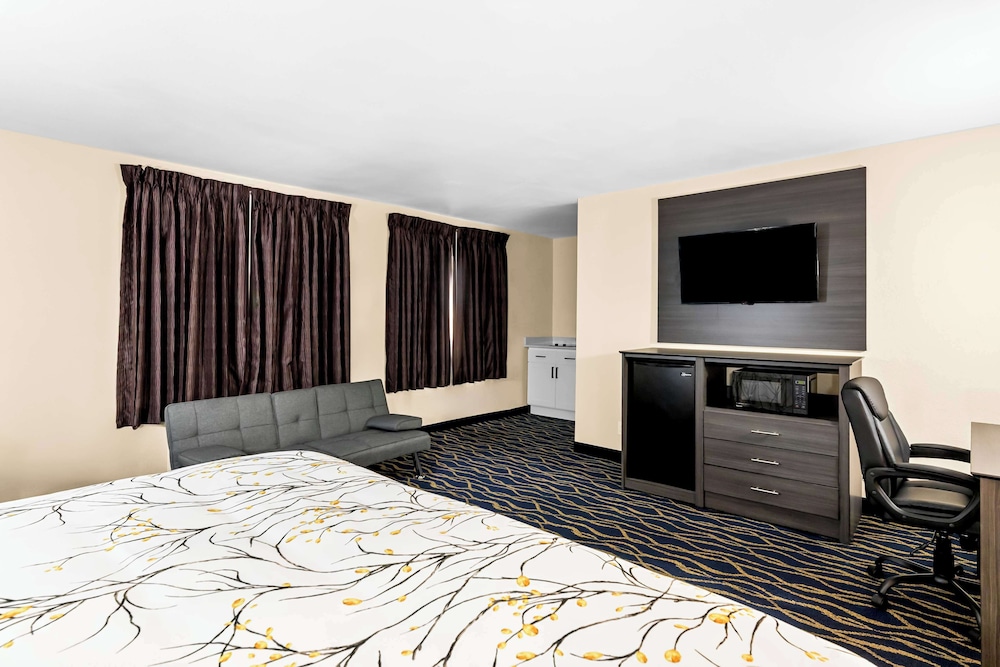 Suite, 1 King Bed, Non Smoking - Photo 1