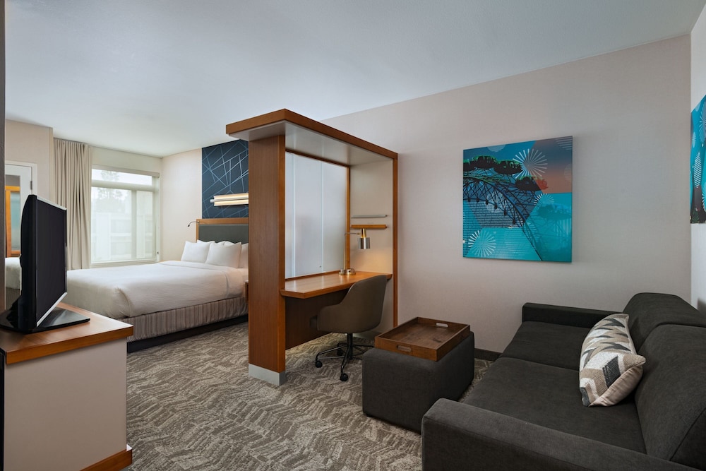 Studio, 1 King Bed