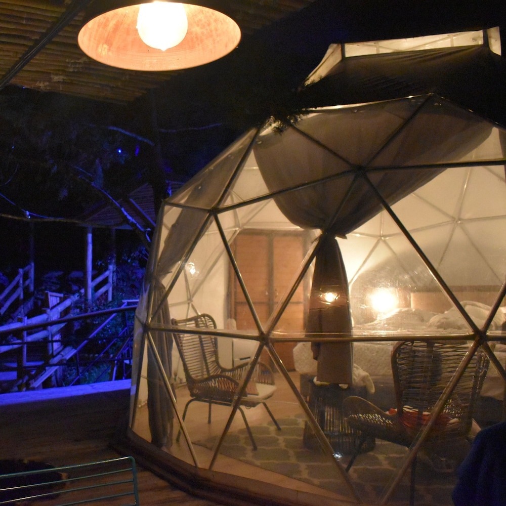 Deluxe Tree House, Mountain View photo 3