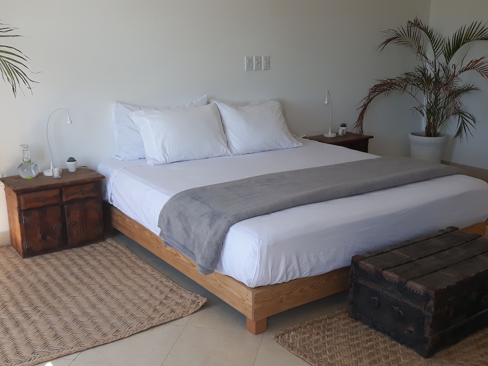 Suite Agaves 2 photo 1