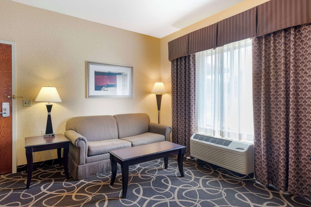 Suite, 1 King Bed with Sofa bed, Non Smoking, Refrigerator & Microwave (with Sofabed)