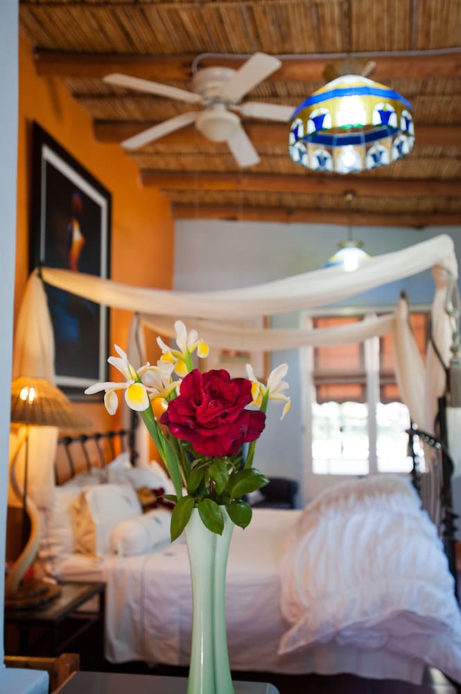 Luxury Suite, 1 King Bed, Courtyard View, Courtyard Area photo 1