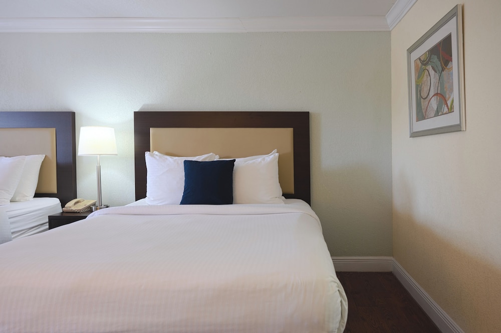 Premium Double Room, 2 Double Beds - Photo 10