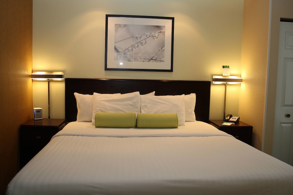 Suite, 1 King Bed with Sofa bed