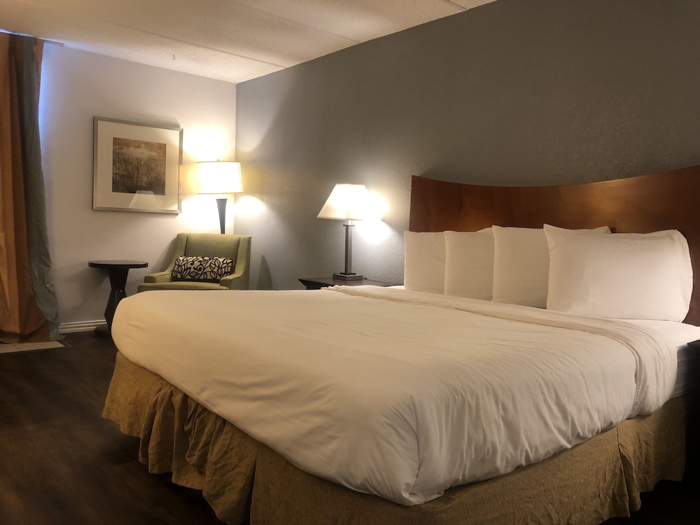 Economy Single Room, 1 King Bed, Non Smoking photo 1