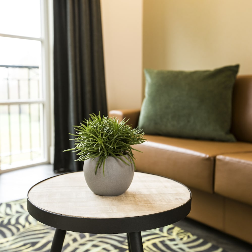 Suite - Photo 2