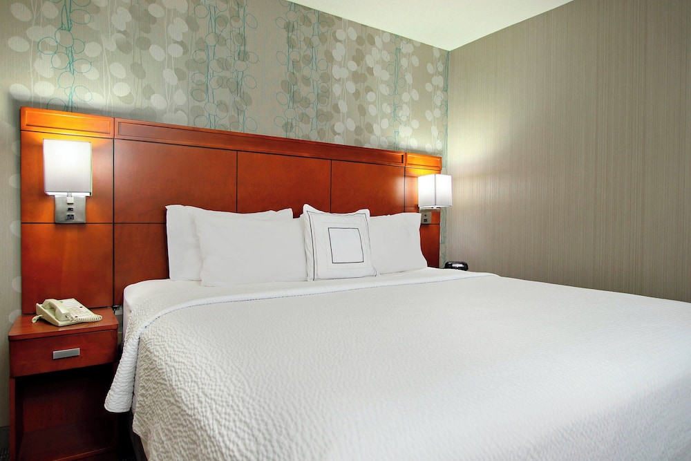 Room, 1 King Bed with Sofa bed (Mobility Accessible, Roll-In Shower) photo 2
