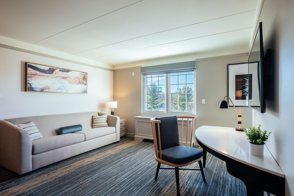 Suite, 1 Bedroom, Accessible - Photo 4