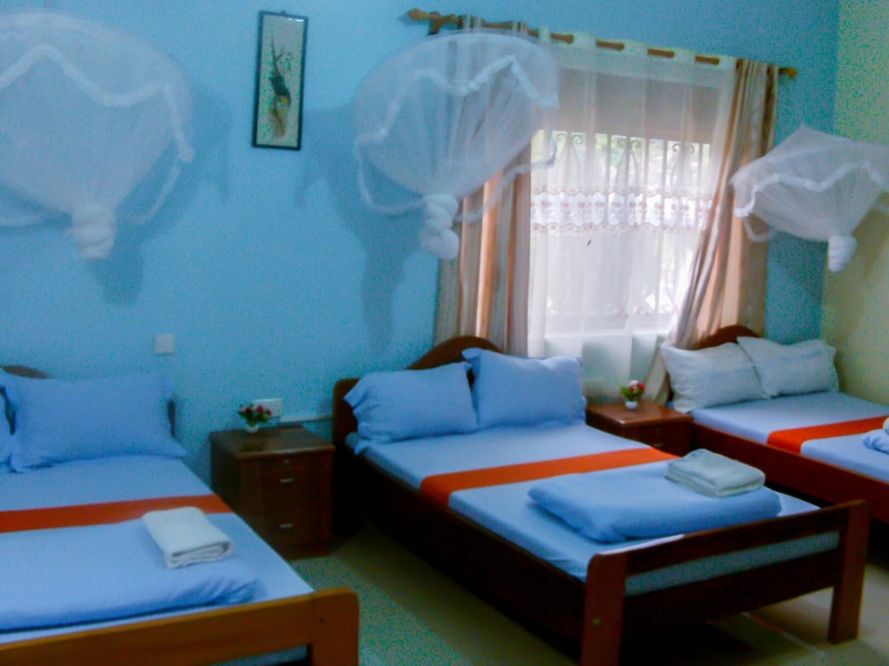 Basic Twin Room photo 3