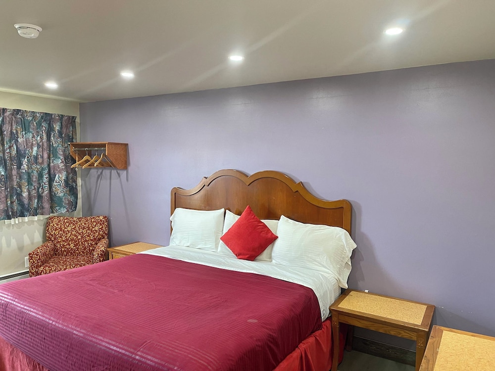 Room, 1 King Bed, Non Smoking - Photo 1