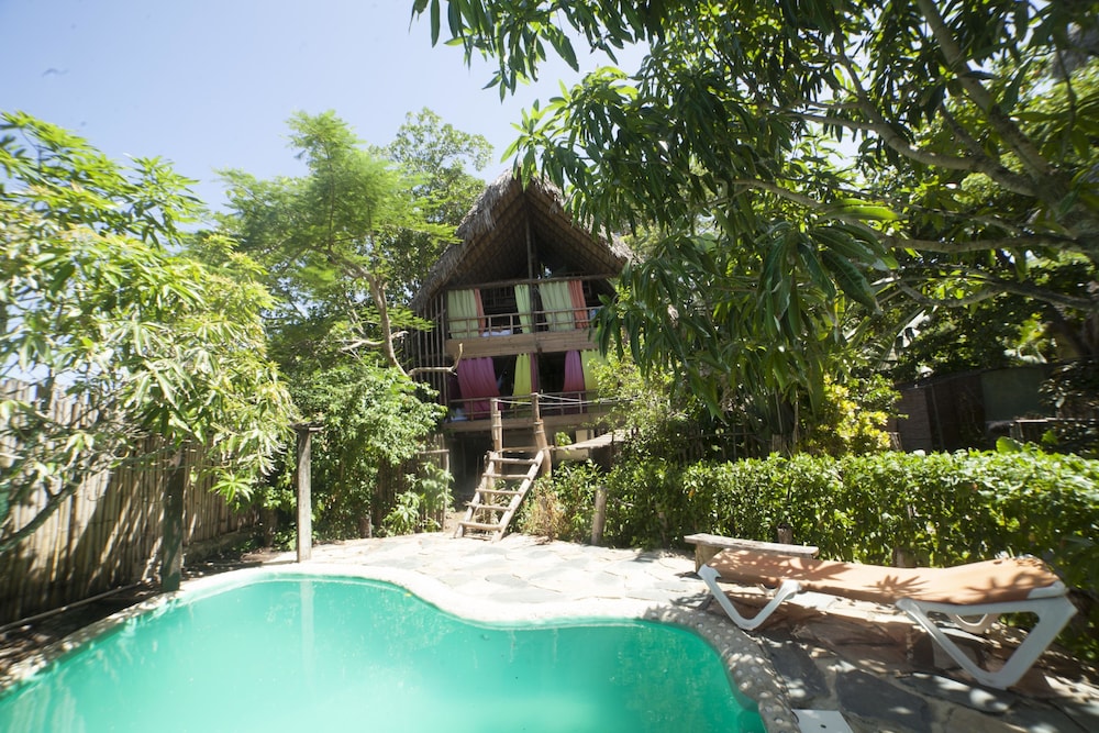 Traditional Tree House photo 3
