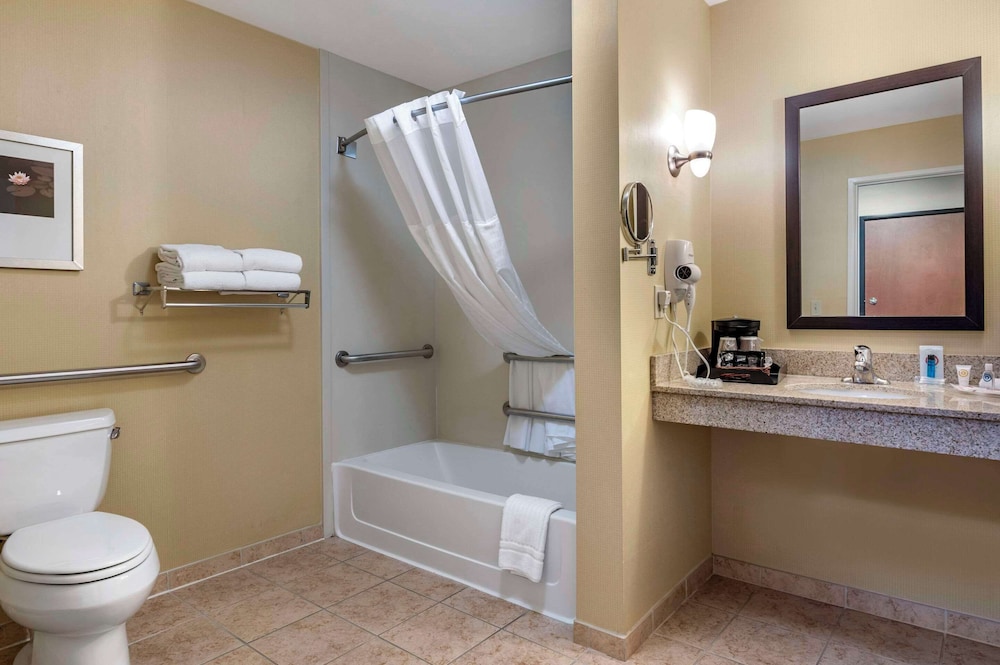 Business Suite, 1 King Bed, Accessible, Non Smoking - Photo 6