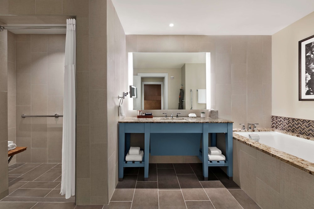 Room, 1 King Bed, Accessible (Roll-In Shower) - Photo 12