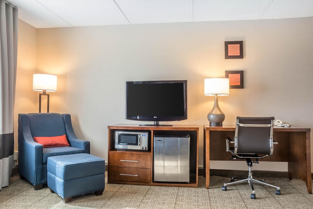 Suite, 1 King Bed with Sofa bed, Accessible, Non Smoking (Upgrade) photo 3