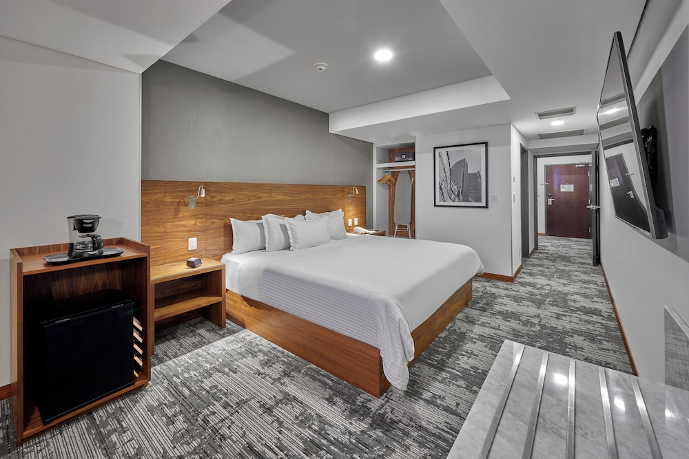 Deluxe Suite, 1 King Bed photo 2