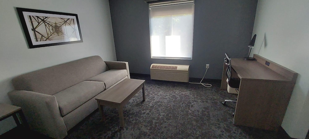Standard Suite, Multiple Beds - Photo 3