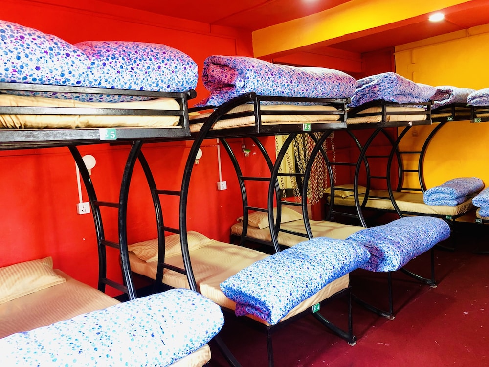 Economy Shared Dormitory photo 1