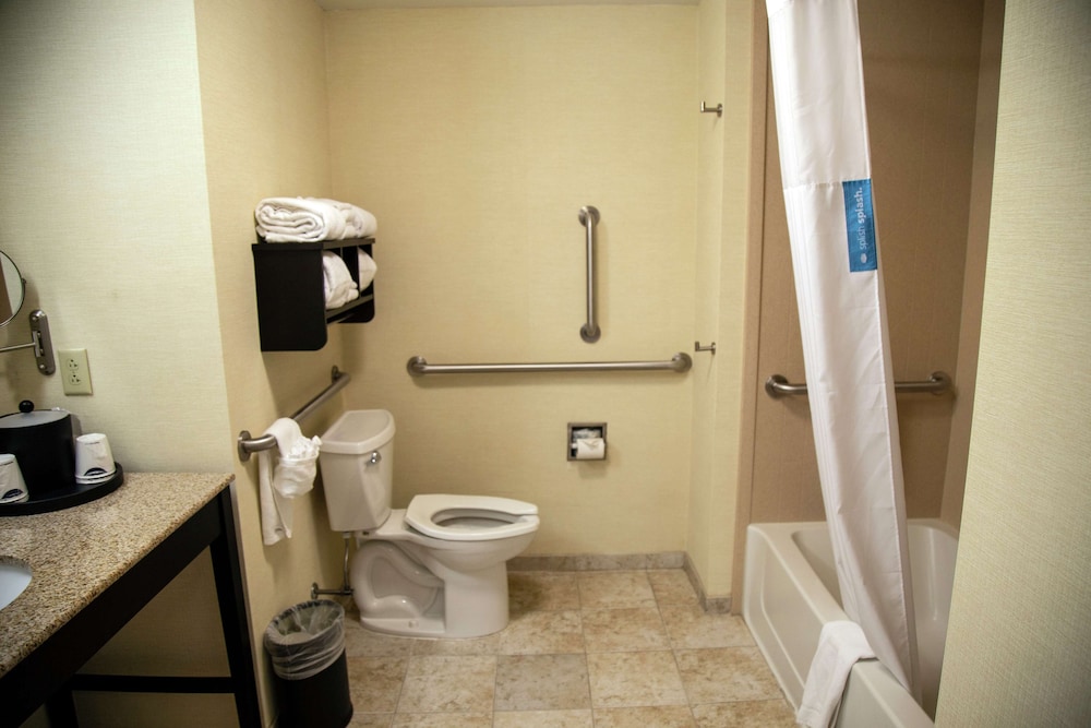 Room, 1 King Bed, Accessible, Non Smoking photo 3