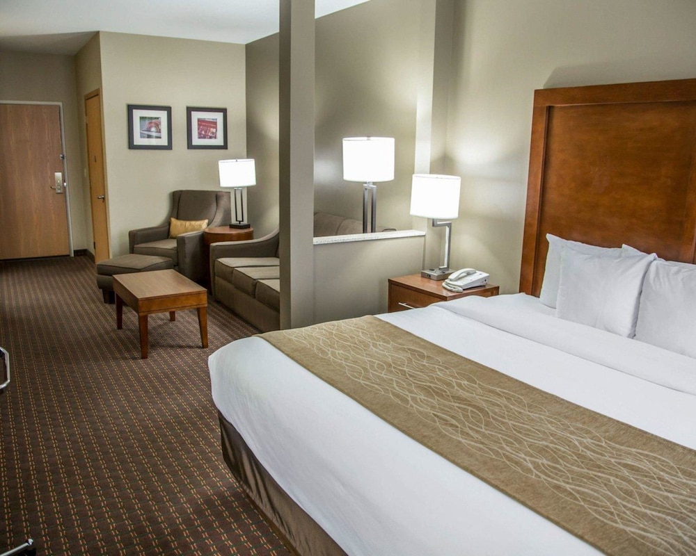 Suite, 1 King Bed with Sofa bed, Non Smoking - Photo 1