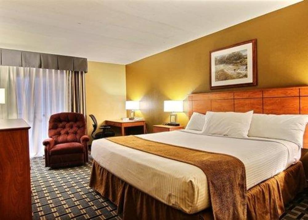 Standard Room, 1 King Bed, Non Smoking photo 3