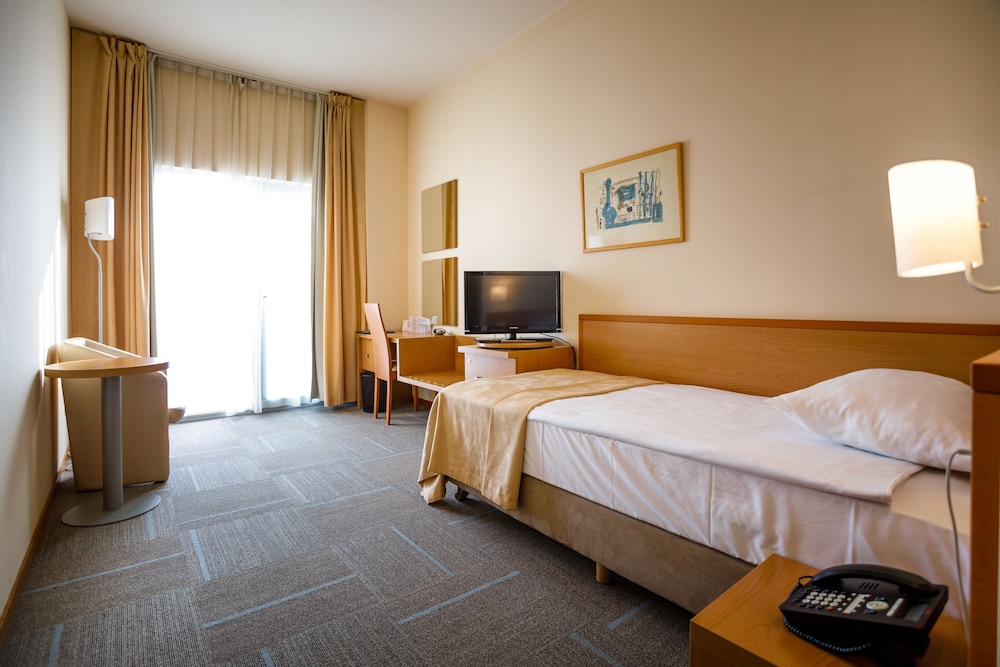 Superior Single Room photo 3