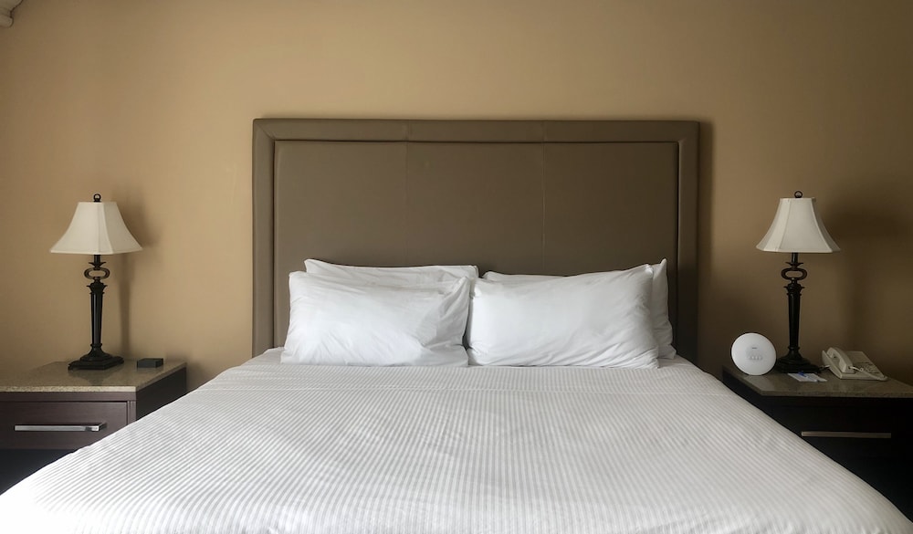Deluxe Suite, 1 King Bed, Non Smoking (One-Bedroom Suite) - Photo 2