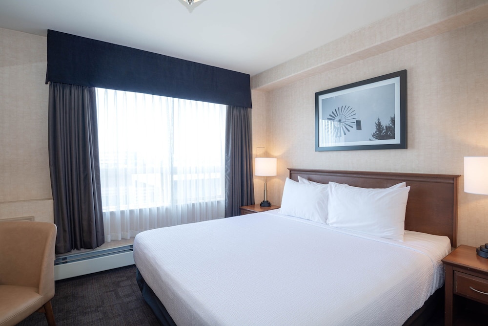Standard Suite, 1 King Bed with Sofa bed, Kitchenette - Photo 1
