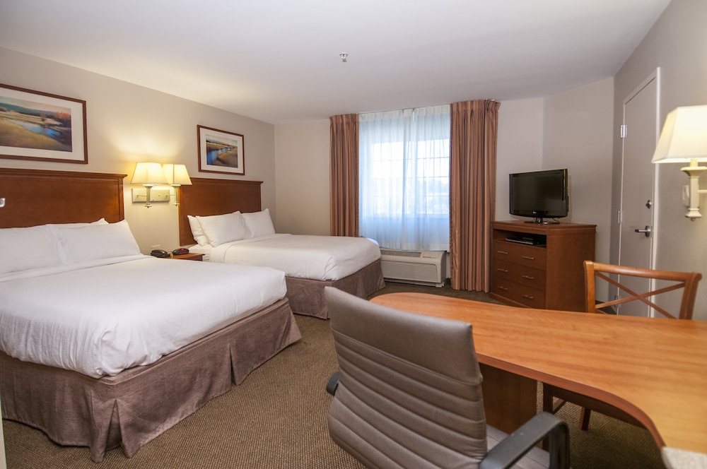 Studio Suite, 2 Queen Beds - Photo 4