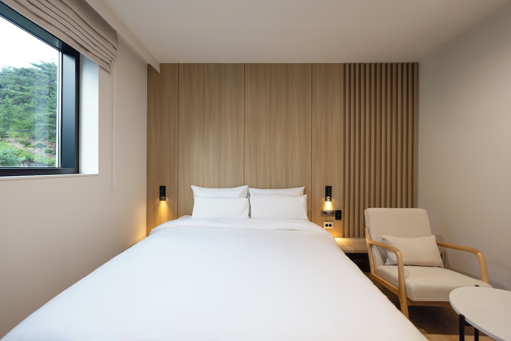 Standard Double Room, Mountain View