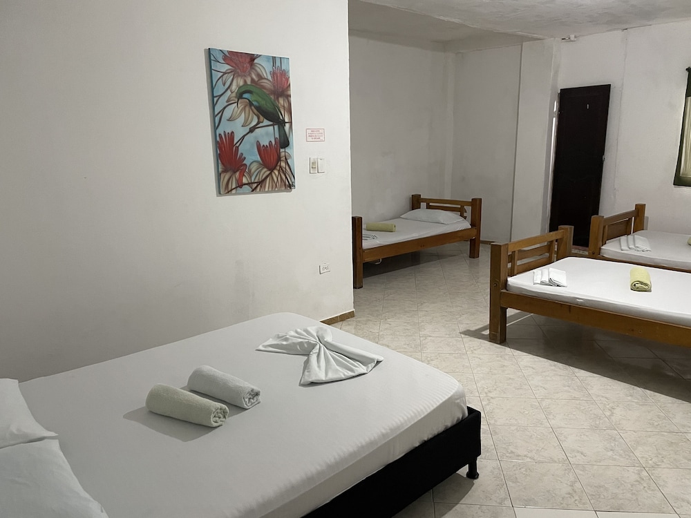 Economy Room, Multiple Beds
