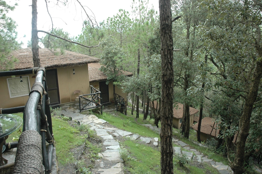 Deluxe Cottage photo 3