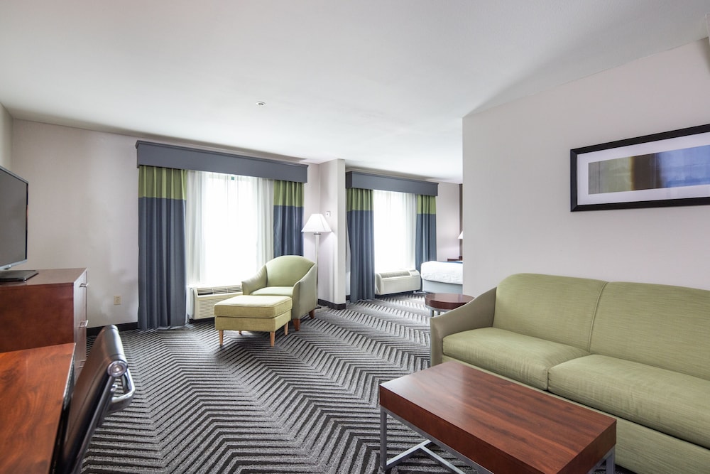Suite, 1 King Bed, Non Smoking, Microwave - Photo 6
